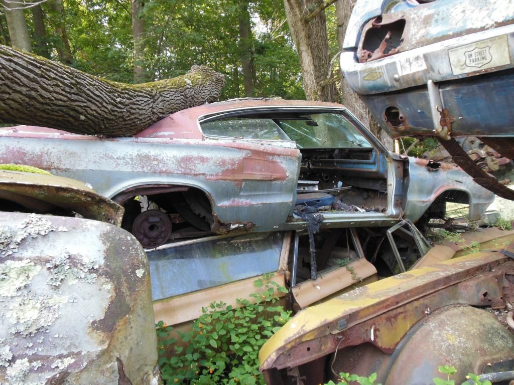 Stark wrecking yard, Dayton OH